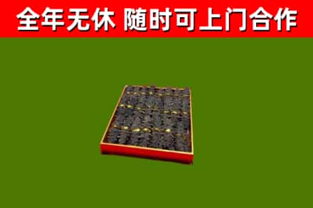 三门峡回收海参